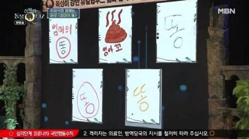 코알라가 독성이 있는 유칼립투스 잎을 먹을 수 있는 이유.jpg