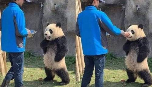 아침밥을 늦게 줘서 화남.jpg