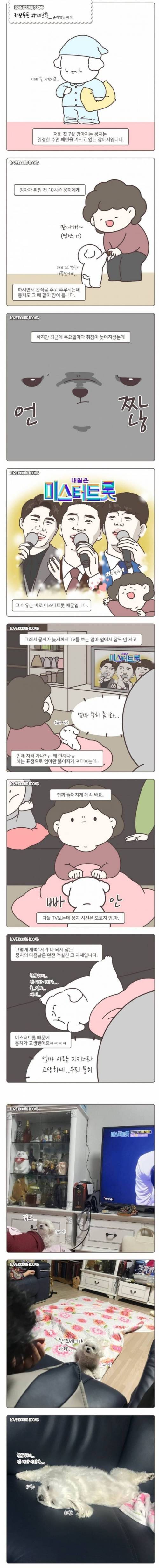 미스터트롯 때문에 수면 패턴이 엉망이 된 댕