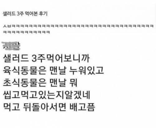 샐러드 다이어트 3주 후기