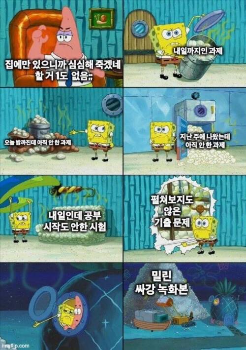 집에만 있느라 심심한 대학생들 현실