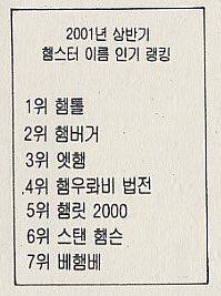 2001년 햄스터 이름 인기랭킹.jpg