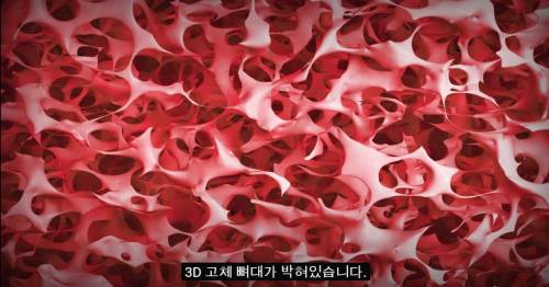 [스압] 세상에서 가장 가벼운 고체.jpg