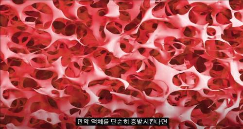 [스압] 세상에서 가장 가벼운 고체.jpg