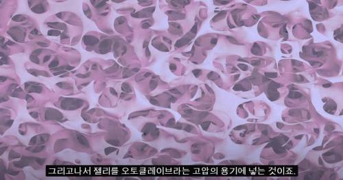 [스압] 세상에서 가장 가벼운 고체.jpg