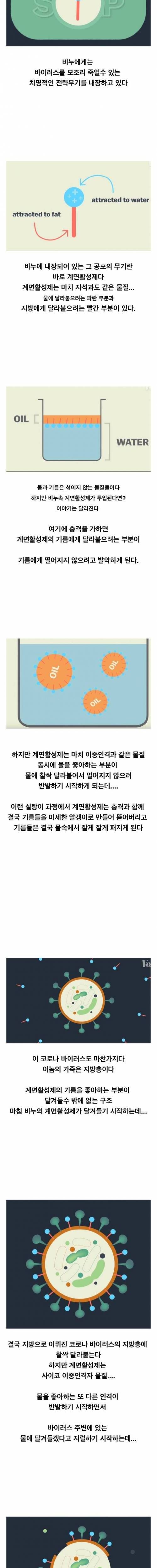 [스압] 비누가 코로나 바이러스를 죽이는 원리