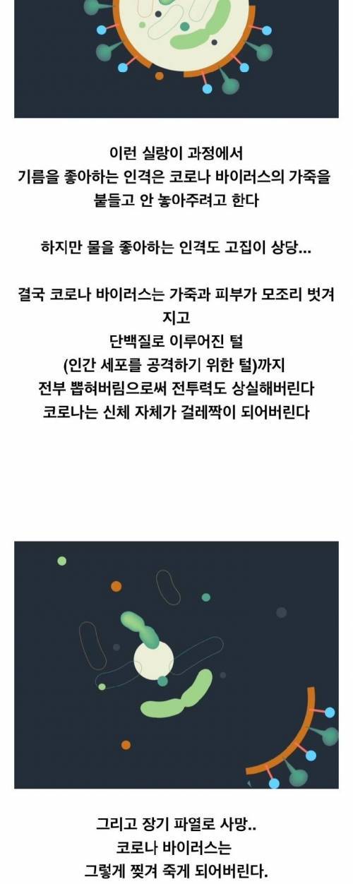 [스압] 비누가 코로나 바이러스를 죽이는 원리