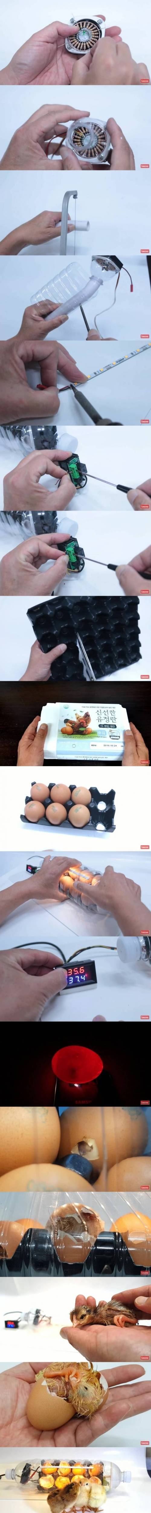 [스압] 페트병으로 병아리 부화기 만들기.jpg