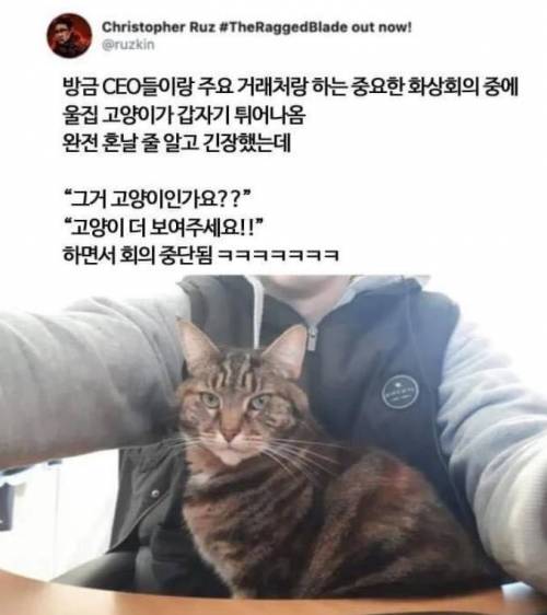 회의중단사유.jpg