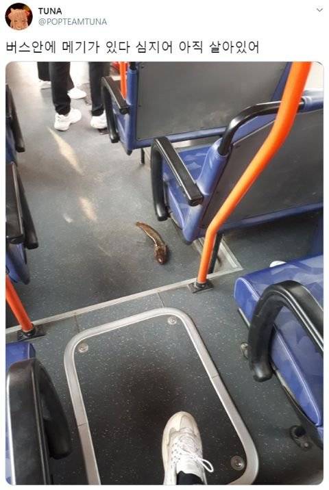 버스기사 아저씨와 잘못된 만남.jpg