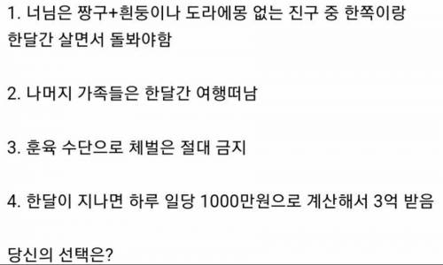 유치원생+댕댕이 돌보기 vs 초등학생 돌보기