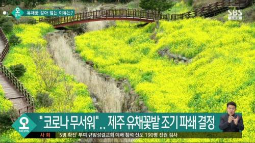 인싸=역병.jpg