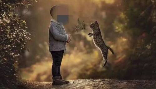 지금 당신이 흐뭇하게 보고 있는 이 훈훈한 사진 속에 숨겨져 있는 '끔찍한 진실'