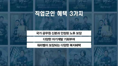 취직이 안되는 청년에게 추천하는 직업.jpg