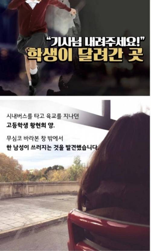 [스압] 제가 조금 오지랖이 넓어서요