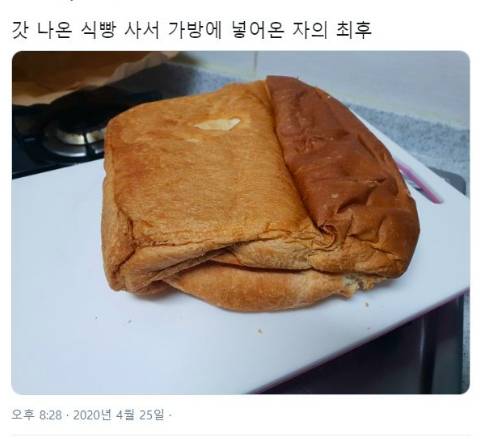 갓 나온 식빵 사서 가방에 넣었는데