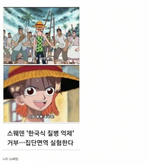 옳게 된 원피스 국적.jpg