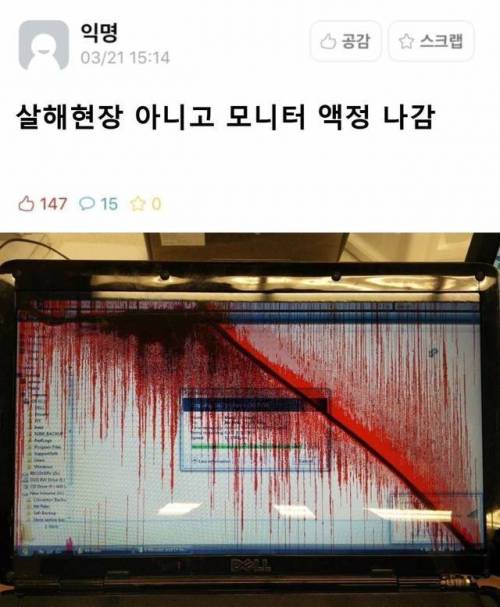 살해현장 아님.jpg