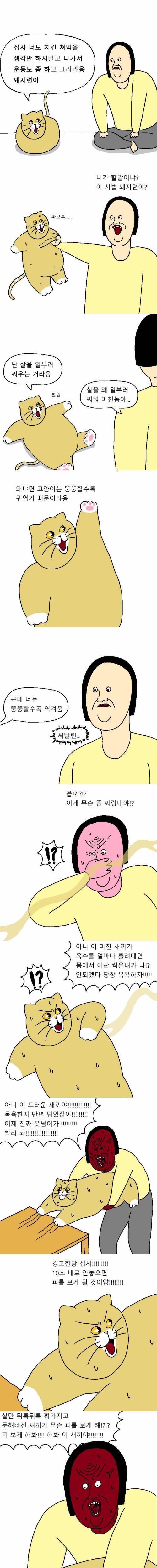 [스압] 고양이가 목욕하기 싫어하는 만화.jpg