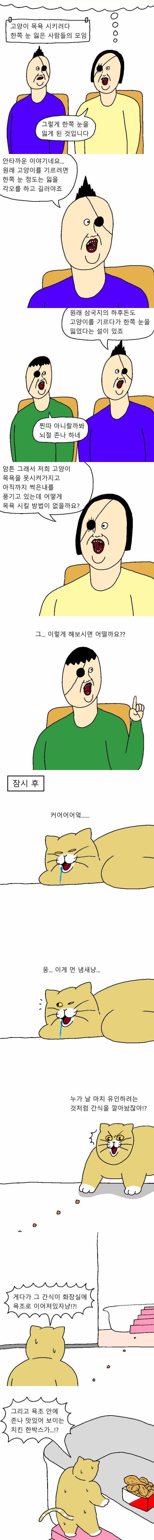 [스압] 고양이가 목욕하기 싫어하는 만화.jpg