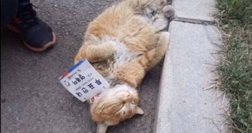 자원봉사 수준.jpg