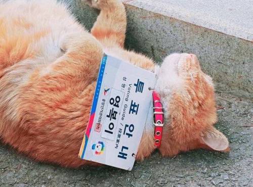 자원봉사 수준.jpg