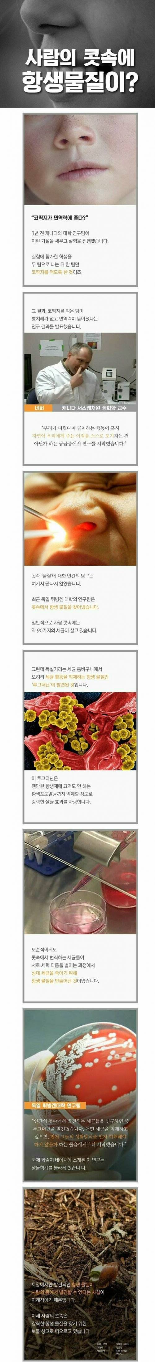 코딱지 안의 보물.jpg