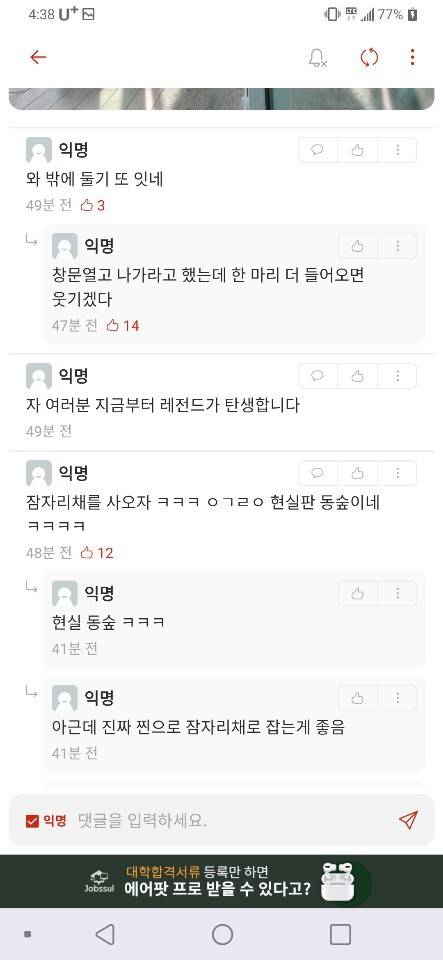 [스압]  베란다에 비둘기들어온 에타인.jpg