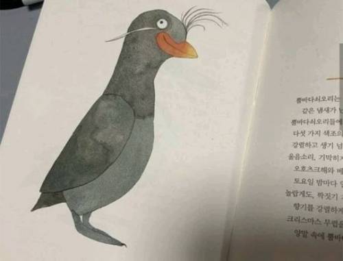 아니 그림 너무 대충그린 그림책이 있네