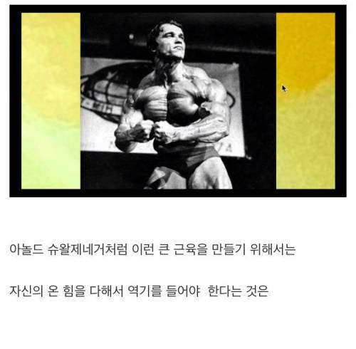 [스압] 서울대 교수 피셜 근육 늘리는 방법