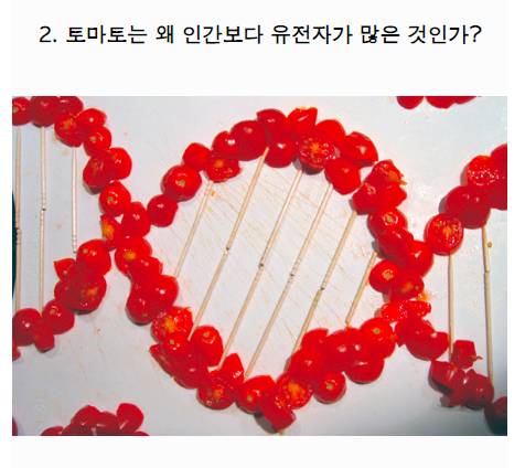 [스압] 현대 과학의 15가지 미스테리.jpg