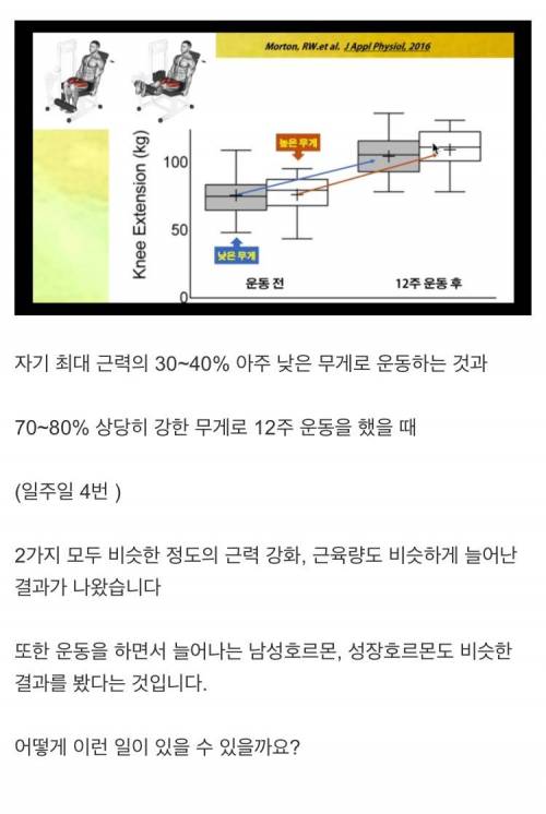 [스압] 서울대 교수 피셜 근육 늘리는 방법