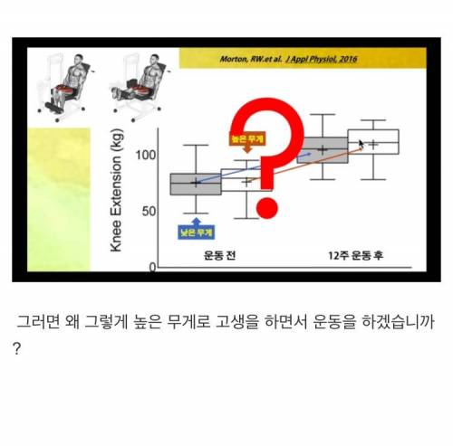 [스압] 서울대 교수 피셜 근육 늘리는 방법