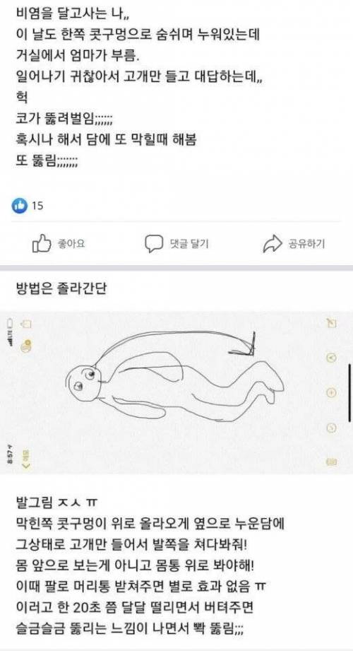 비염있는 사람 꿀팁.jpg