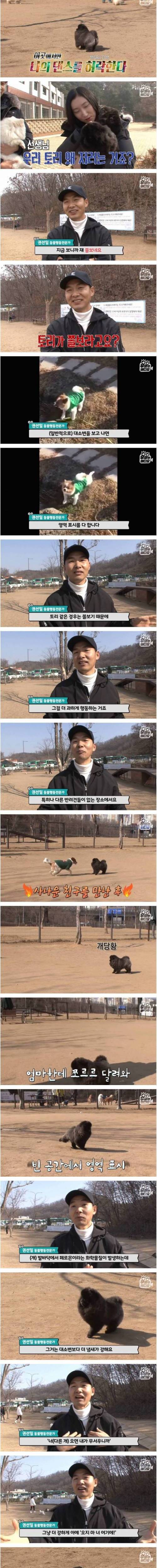 [스압] 문워크 중독 강아지.jpg