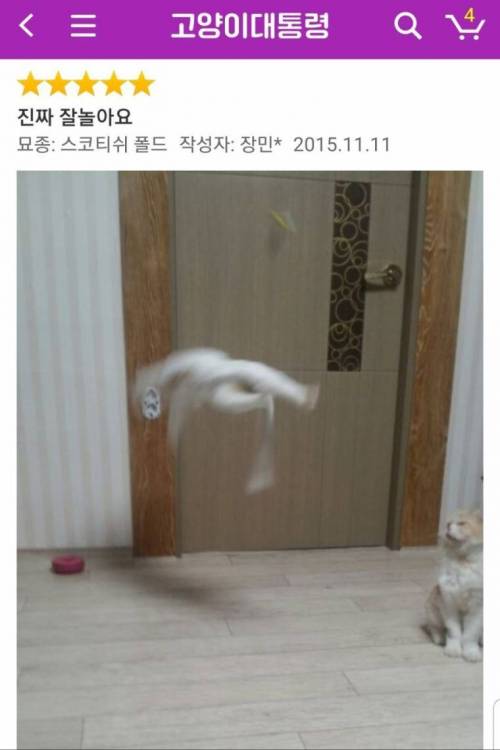 신뢰 갑 후기.jpg