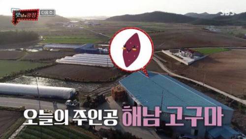 전화 한 통에 고구마 450톤 태우신 분.jpg