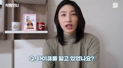 [스압] 김연경의 배구 만화 하이큐 리뷰.jpg
