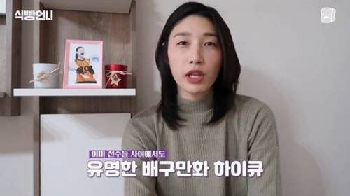 [스압] 김연경의 배구 만화 하이큐 리뷰.jpg