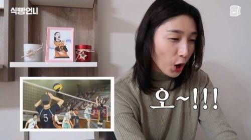 [스압] 김연경의 배구 만화 하이큐 리뷰.jpg