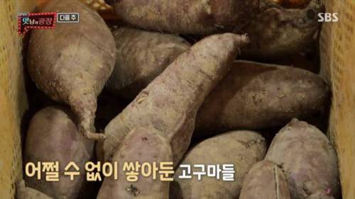 전화 한 통에 고구마 450톤 태우신 분.jpg
