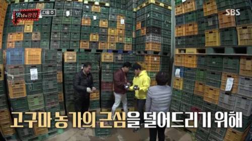 전화 한 통에 고구마 450톤 태우신 분.jpg
