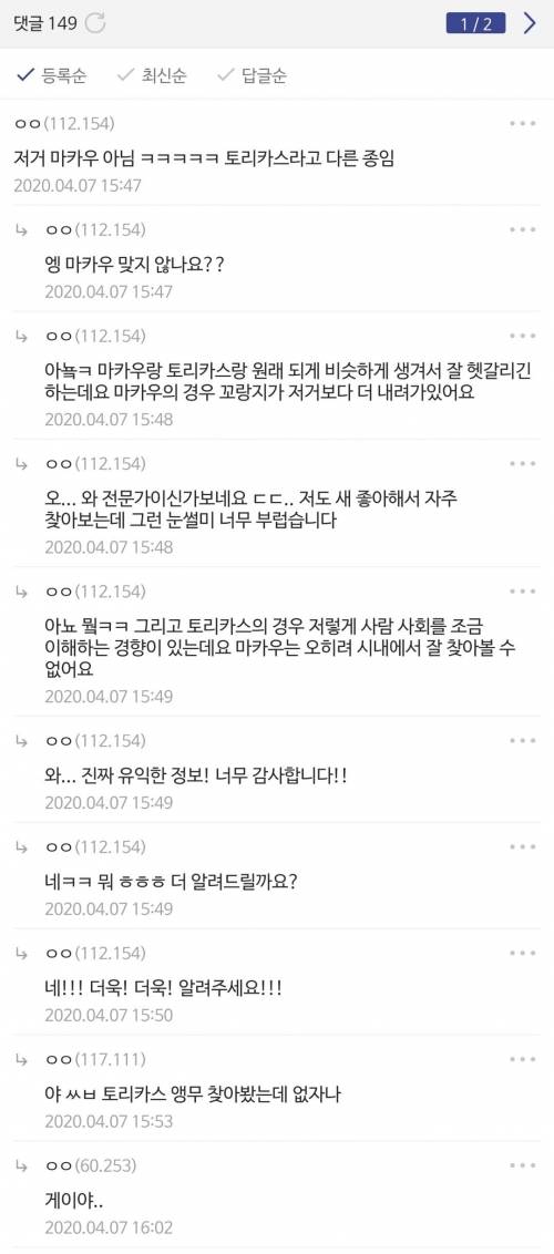 자가격리중인 집 창문에 들러붙은 마카우들