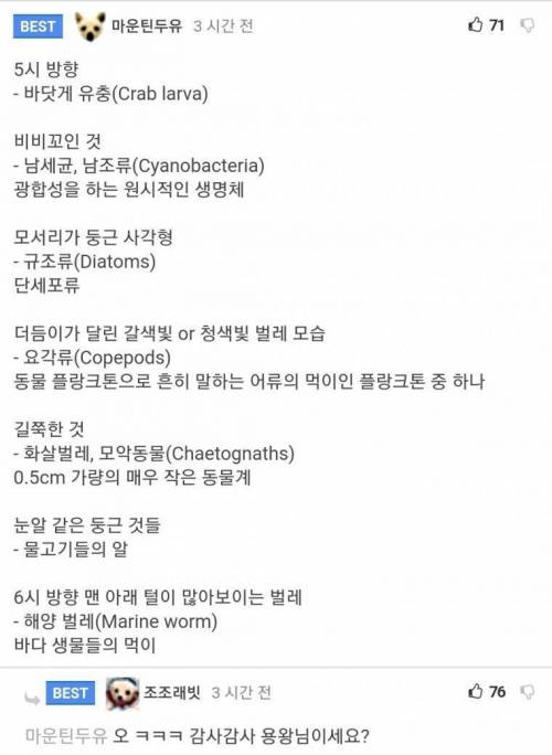 바닷물 한방울의 현미경사진