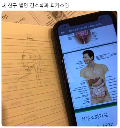 간호학과 피카소.jpg