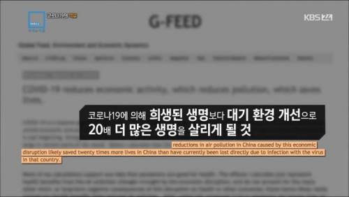 [스압] 코로나로 착해진 나라들