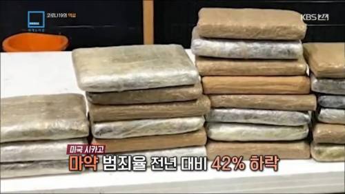 [스압] 코로나로 착해진 나라들