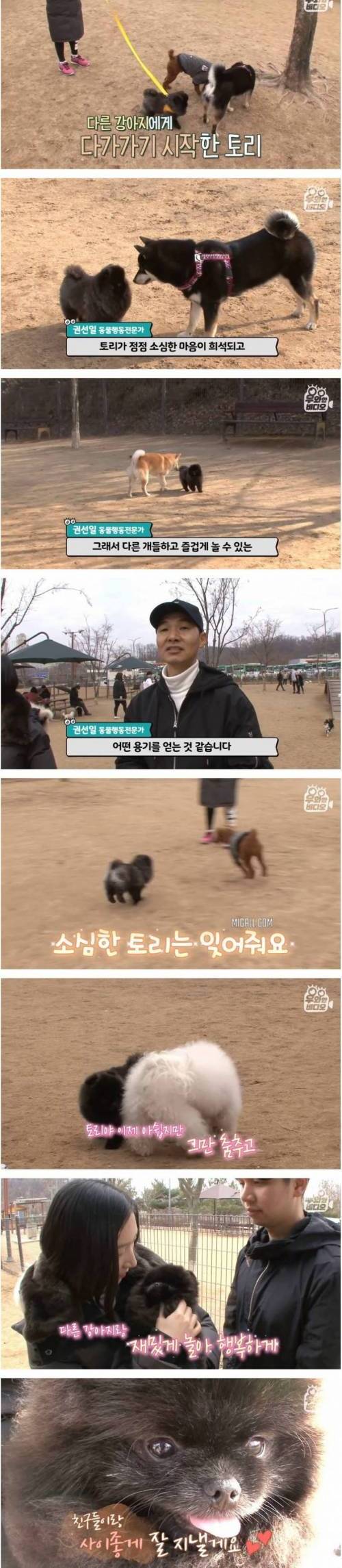 [스압] 문워크 중독 강아지.jpg