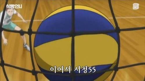 [스압] 김연경의 배구 만화 하이큐 리뷰.jpg