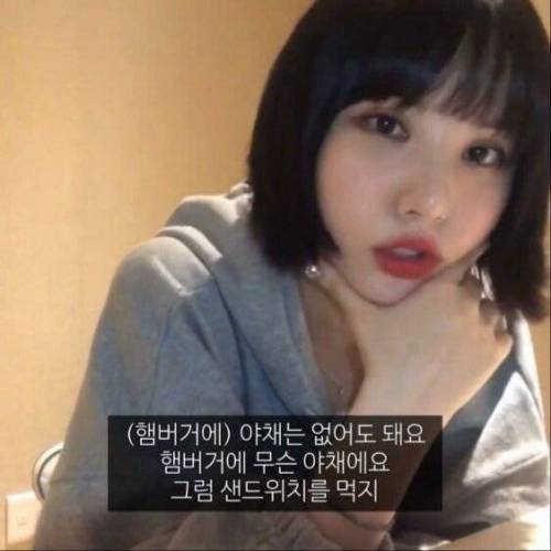 모 아이돌 햄버거 소신발언.jpg